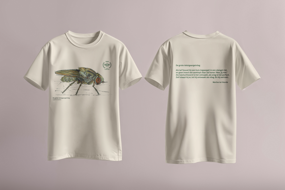 Insect van het Jaar T-shirt 2026 De grote rietsigaargalvlieg Natural voor- en achterkant